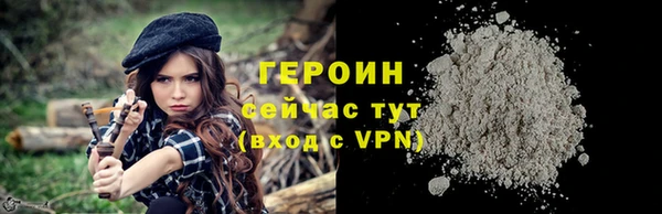 прущие грибы Заводоуковск