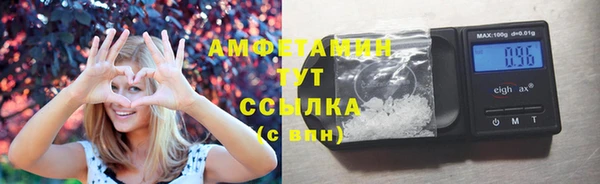 дмт Каменка