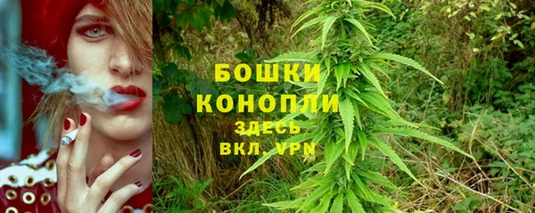 гидра Заволжье