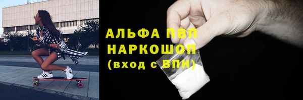 прущие грибы Заводоуковск