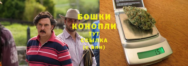 дмт Каменка