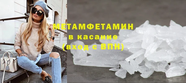 прущие грибы Заводоуковск