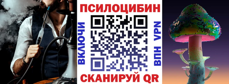 Галлюциногенные грибы Psilocybe  Купить  Жигулёвск 